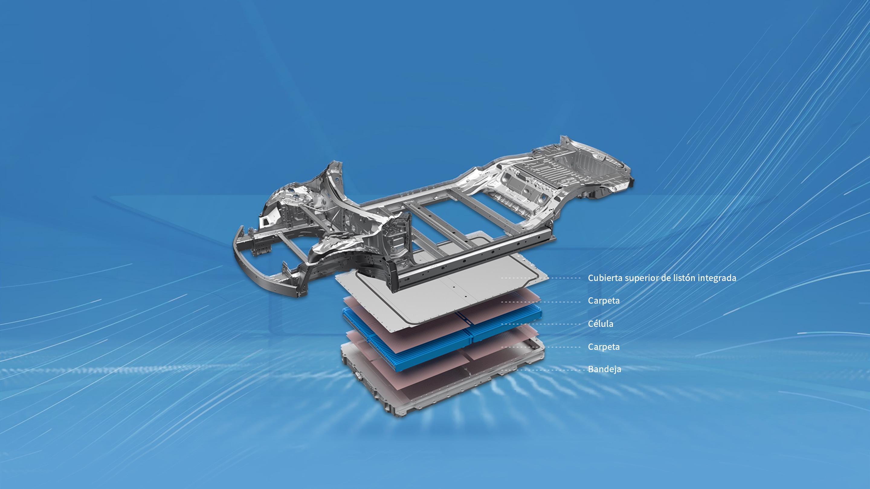Performance Section